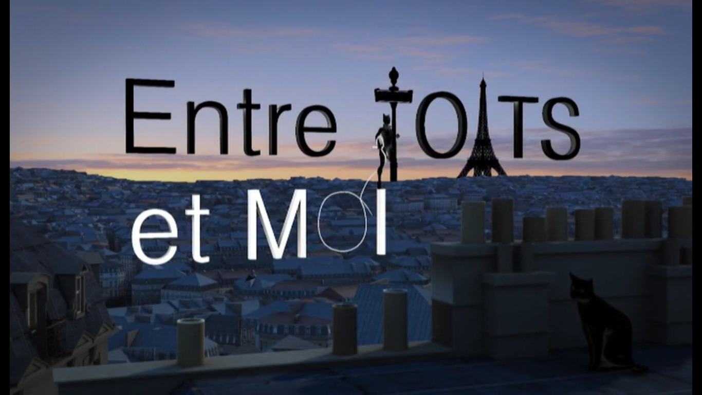 Les toits de Paris en Seine